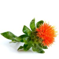 feature-item-4